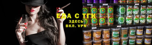 индика Новодвинск
