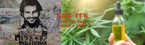 индика Новодвинск