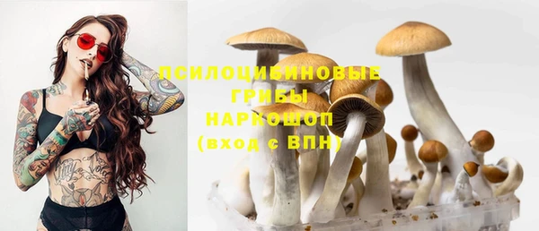 наркотики Новозыбков