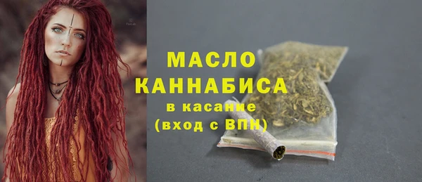 индика Новокубанск