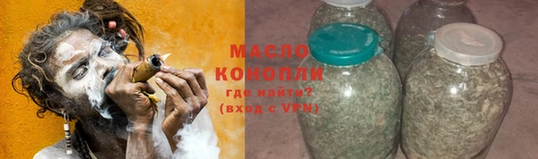 индика Новодвинск