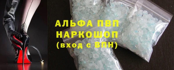 индика Новокубанск