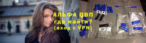 индика Новокубанск