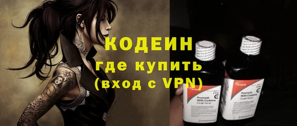 индика Новодвинск