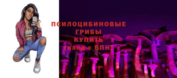 индика Новодвинск