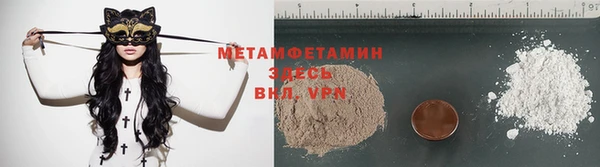 индика Новодвинск