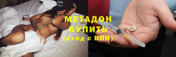 индика Новодвинск