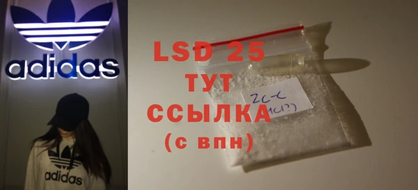 индика Новодвинск