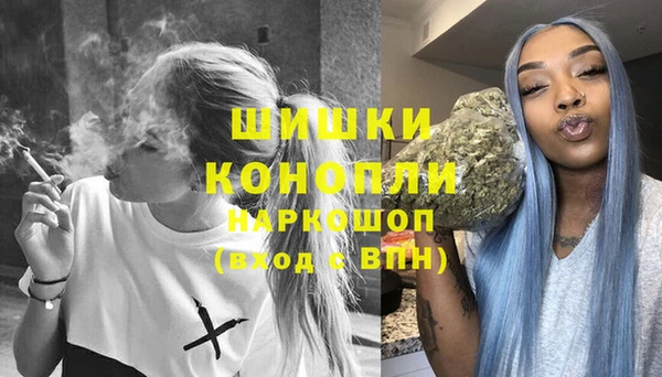 индика Новокубанск