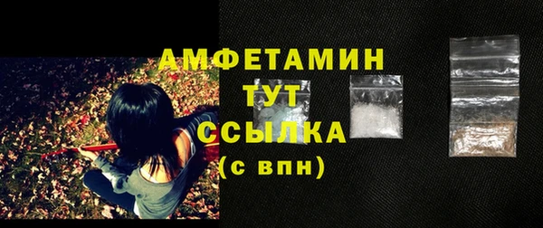 индика Новодвинск