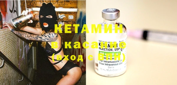 индика Новодвинск