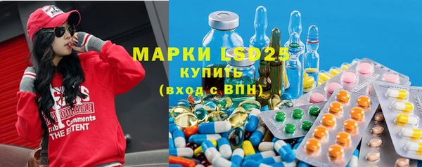 индика Новодвинск