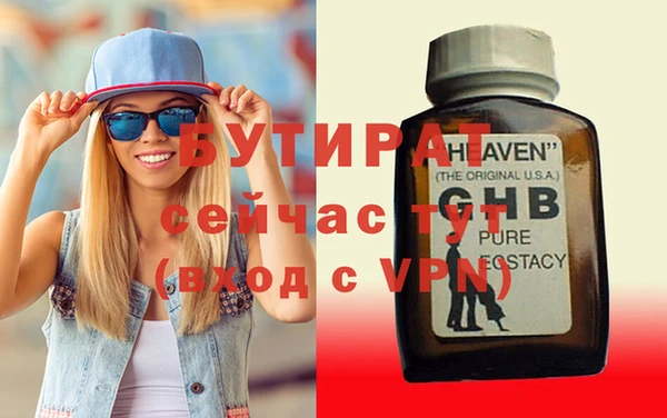 индика Новодвинск