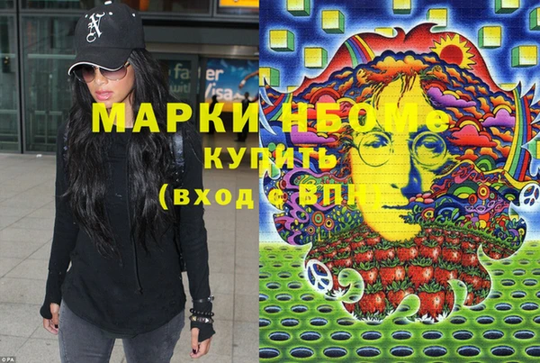индика Новодвинск