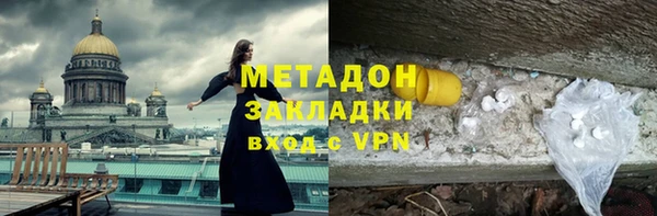 индика Новодвинск