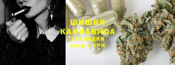 индика Новодвинск