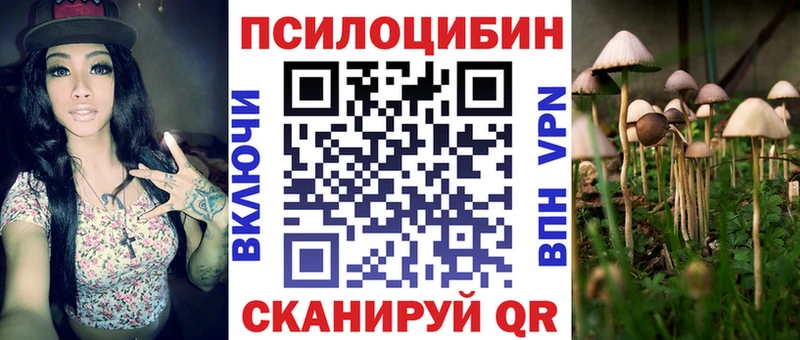 Галлюциногенные грибы Cubensis  Балабаново 