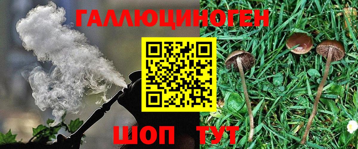 Галлюциногенные грибы прущие грибы Балабаново