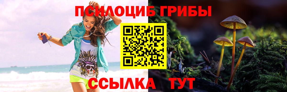 где найти наркотики  Балабаново  Галлюциногенные грибы Magic Shrooms 